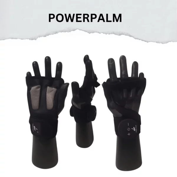 Power Palm